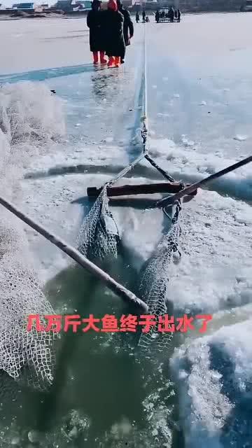 水库大鱼爆料视频播放,视频播放引发热议! 第1张 水库大鱼爆料视频播放,视频播放引发热议! 第1张